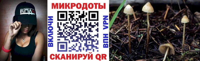 купить сайты Батайск Псилоцибиновые грибы Magic Shrooms